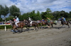 Immagine <b>REG_9263</b>